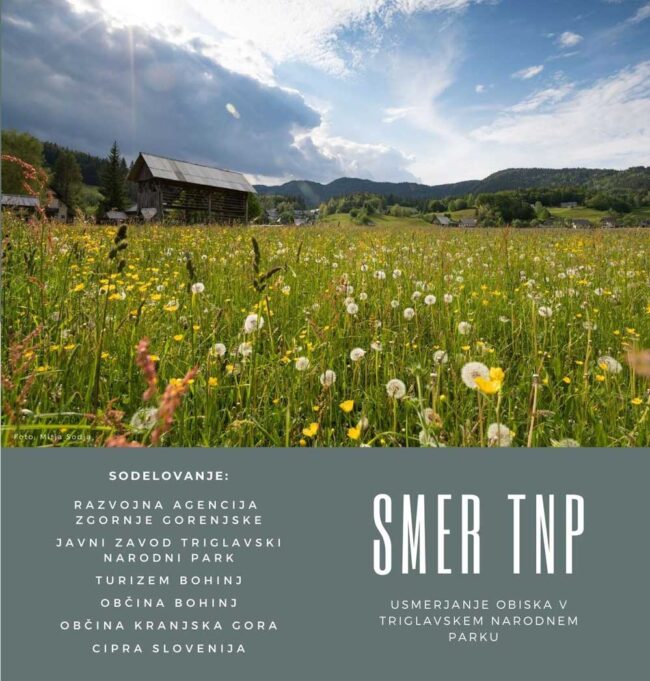 ragor smer tnp usmerjanje obiska ragor smer tnp usmerjanje obiska