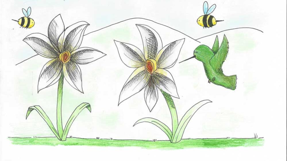 ragor turizmu pomaga lastna glava narcise legende in pripovedke