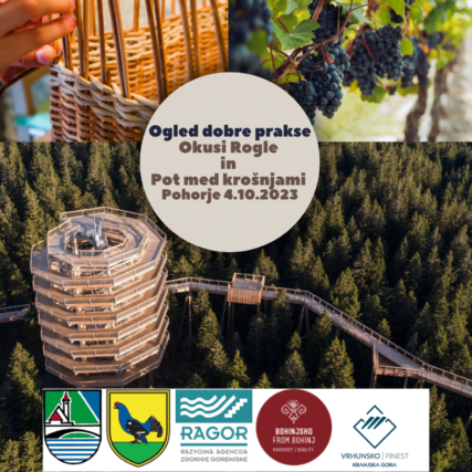 Ogled dobre prakse Okusi Rogle in Pot med krošnjami Pohorje ..
