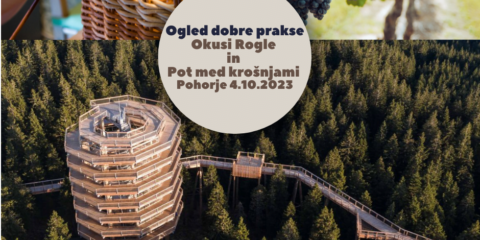 Ogled dobre prakse Okusi Rogle in Pot med krošnjami Pohorje ..