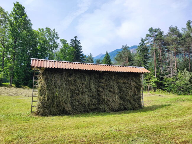 Mvake . runda brani