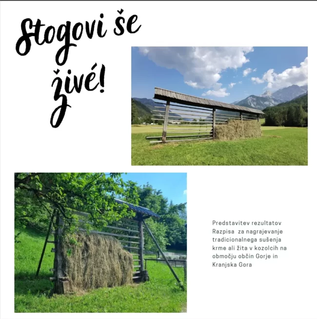 stogovi še žive ragor publikacija naslovna
