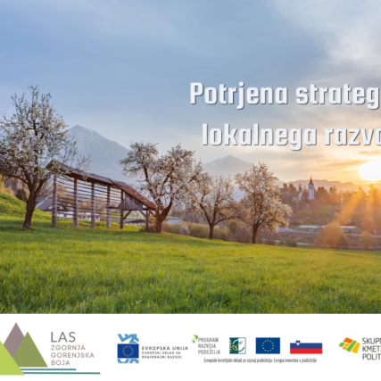 Potrjena strategija lokalnega razvoja naslovna