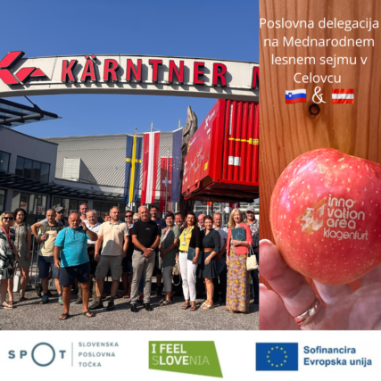 prva stran lesni sejem (Objava za Instagram (Kvadratno))