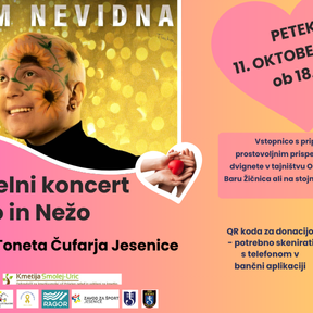 Info Screen Dobrodelni koncert ()