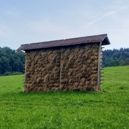 Fotografija članek Gorjanc
