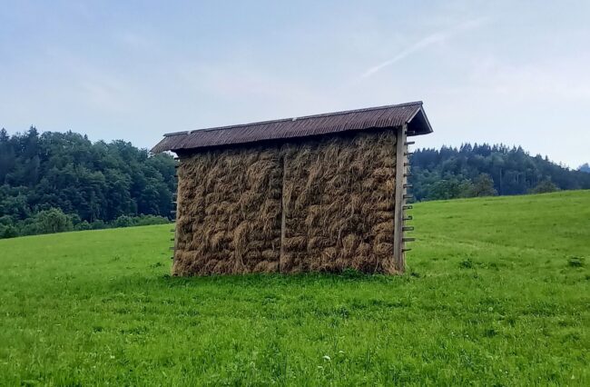 Fotografija članek Gorjanc Fotografija članek Gorjanc