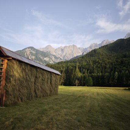 Avtor fotografije: Andraž Markelj