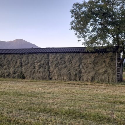 Bregi brane obdevano ..