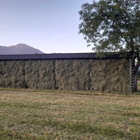 Bregi brane obdevano ..