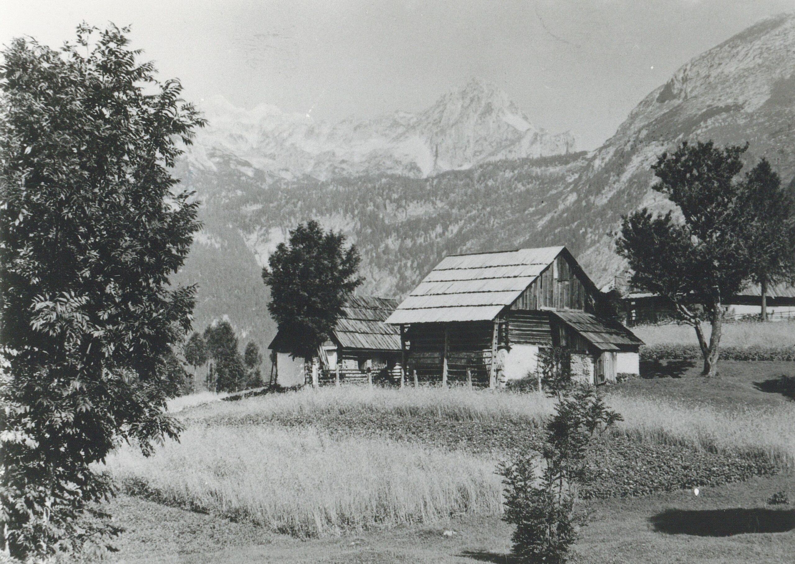 Uskovnica pred 2. svetovno vojno (fototeka Gorenjskega muzeja)