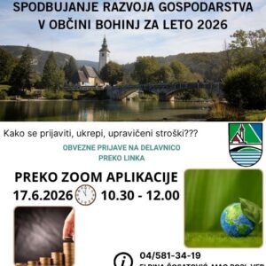 Delavnica Razpis za gospodarstvo Bohinj