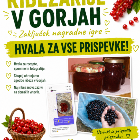 Ribezarije zaključni post