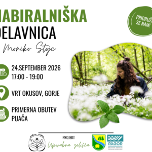 Nabiralniška delavnica z Moniko Stojc Gorje