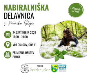 Nabiralniška delavnica z Moniko Stojc Gorje