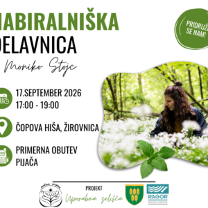 Nabiralniška delavnica z Moniko Stojc Žirovnica