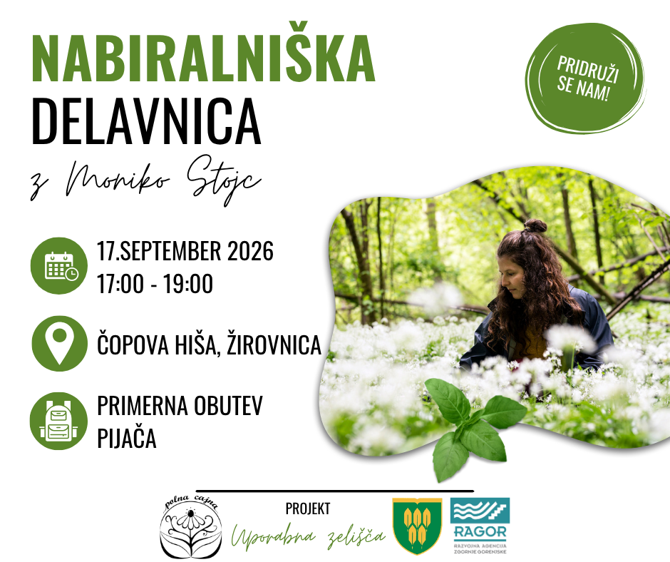 Nabiralniška delavnica z Moniko Stojc Žirovnica